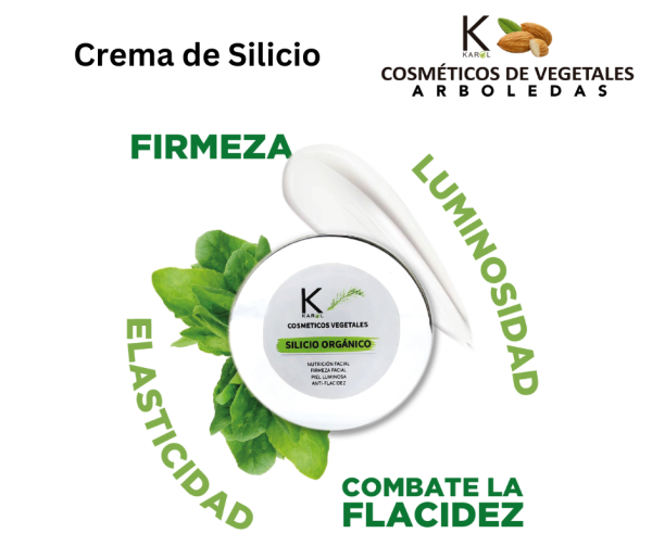 Crema de Silicio